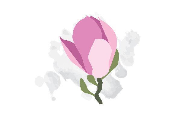 Blossoming Magnolias Watercolor: Designs Amp Asset Review