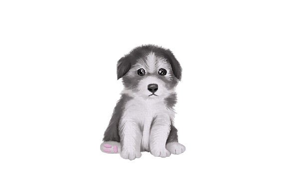 Border Collie Puppy Watercolor: A Stitch Test Review