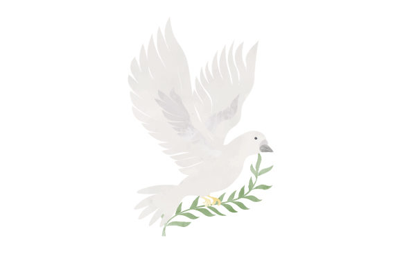Easter Dove with Olive Branch Watercolor Review