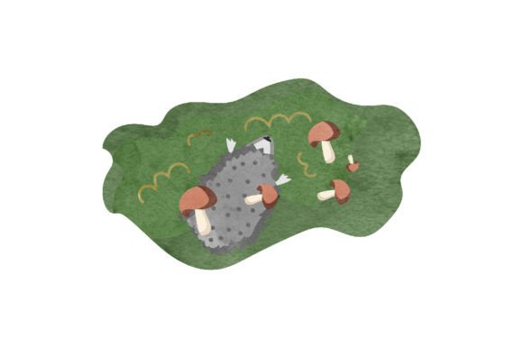 Hedgehog in Forest with Mushrooms: A Fall Brand Asset