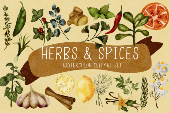 Herbs Spices Watercolor Clipart Set for Food Amp Branding