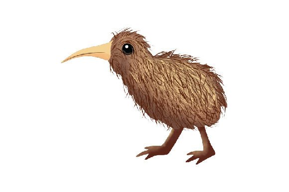 Kiwi Bird, Watercolor: Animals Asset for Local Branding