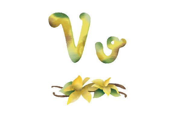 Letter V Watercolor for Kids: A Seller’s Asset Review
