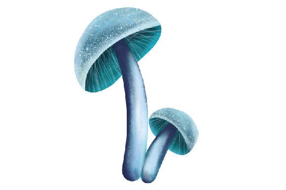 Pagan Aesthetic: Wicca Watercolor Mushroom Clipart