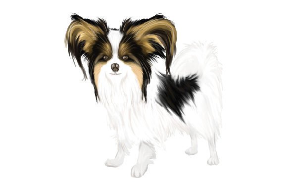Papillon Dog Watercolor: A Stitch-Out Review
