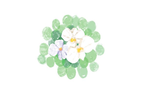 White Orchids Watercolor for Nature Amp Branding
